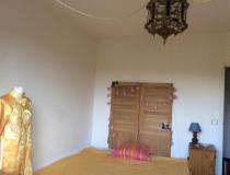 annonce location appartement f1 studio craponne 69290