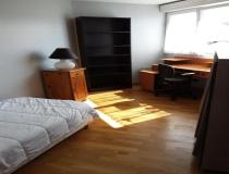 annonce location appartement f1 studio montigny le bretonneux 78180