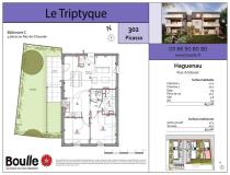 annonce location appartement f3 t3 haguenau 67500