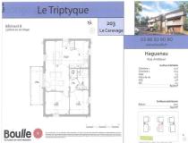 annonce location appartement f3 t3 haguenau 67500