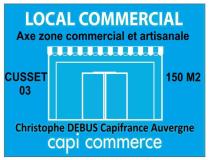 annonce location local commerce cusset 03300