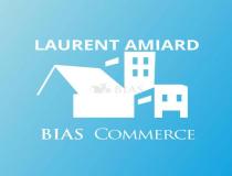 annonce location local commerce deauville 14800