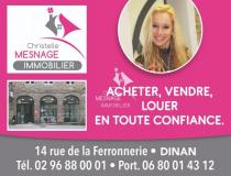 Location local - commerce Dinan 22100 [42/2826124]