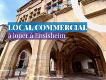 annonce location local commerce ensisheim 68190