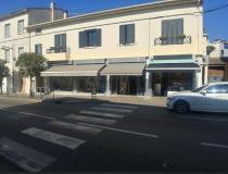 annonce location local commerce ghisonaccia 20240