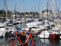 Immobilier local - commerce La Rochelle 17000 [41/2862495]