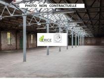 annonce location local commerce medis 17600