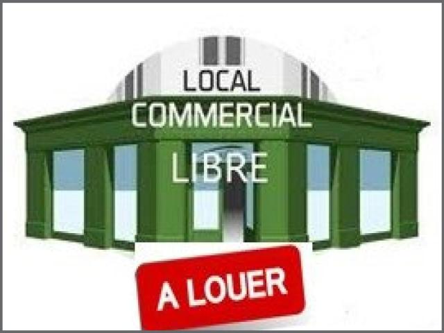 annonce location local commerce moutiers les mauxfaits 85540