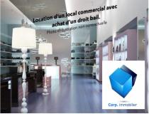 annonce location local commerce pau 64000