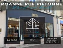 annonce location local commerce roanne 42300