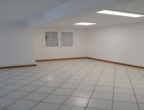 annonce location local commerce saint pierre 97410