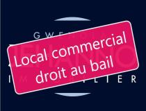 annonce location local commerce vannes 56000