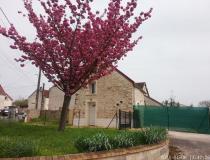 vente maison Jouy Sur Morin - 492626:2