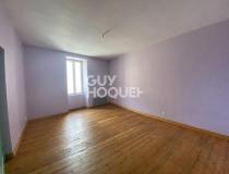 vente maison St Hilaire Des Loges - 490721:5