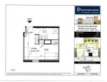 annonce vente appartement f1 studio lyon 07 69007