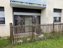 Achat appartement Panazol 87350 [2/13382676]