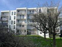 Immobilier appartement Sevres 92310 [2/13785476]
