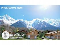 Achat appartement Chamonix Mont Blanc 74400 [2/13768139]