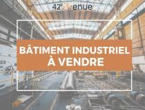 annonce vente immeuble andrezieux boutheon 42160