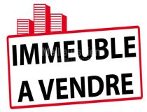 annonce vente immeuble auch 32000