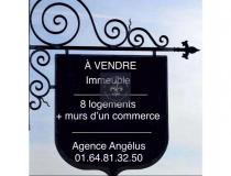 Immobilier immeuble Fontainebleau 77300 [3/683087]