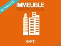 annonce vente immeuble la fleche 72200