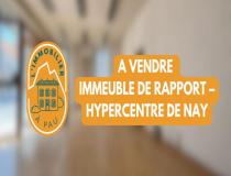 annonce vente immeuble nay bourdettes 64800