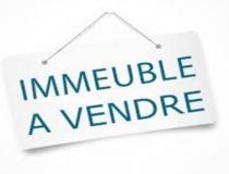 annonce vente immeuble pointe a pitre 97110