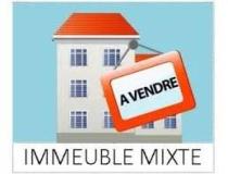 annonce vente immeuble saint joseph 97480