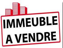 annonce vente immeuble saint louis 97450