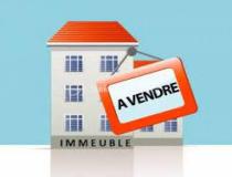 annonce vente immeuble saujon 17600