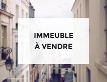 annonce vente immeuble st etienne 42000