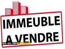 annonce vente immeuble st genis laval 69230