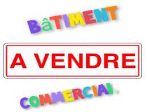 annonce vente immeuble st lo 50000