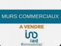 Immobilier local - commerce Aigrefeuille D'Aunis 17290 [41/2701535]