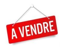 annonce vente local commerce annecy 74000