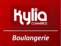 Vente local - commerce Beaumont Sur Oise 95260 [40/2863851]