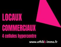 annonce vente local commerce bours 65460