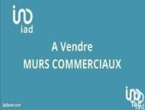 annonce vente local commerce bretignolles sur mer 85470