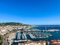 annonce vente local commerce cannes 06400