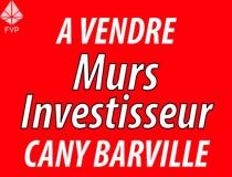 annonce vente local commerce cany barville 76450