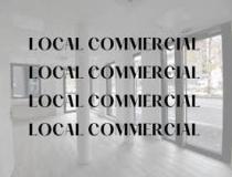 annonce vente local commerce carros 06510