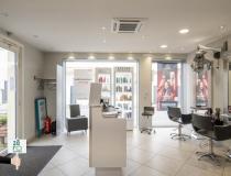 Vente local - commerce Champagne Les Marais 85450 [41/2812576]