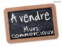 annonce vente local commerce chateau malo 35400