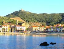 annonce vente local commerce collioure 66190