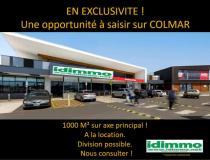 Vente local - commerce Colmar 68000 [41/2837650]