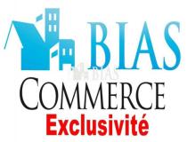 annonce vente local commerce deauville 14800