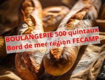 annonce vente local commerce fecamp 76400