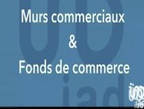 annonce vente local commerce feurs 42110