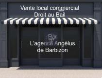 annonce vente local commerce fontainebleau 77300